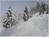 Kranjski Rak - Kapela Marije Snežne (Velika planina)